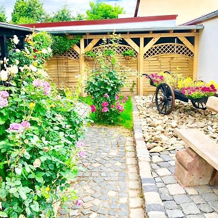 Ferienwohnungen Grimma 4 Zewnętrze zdjęcie