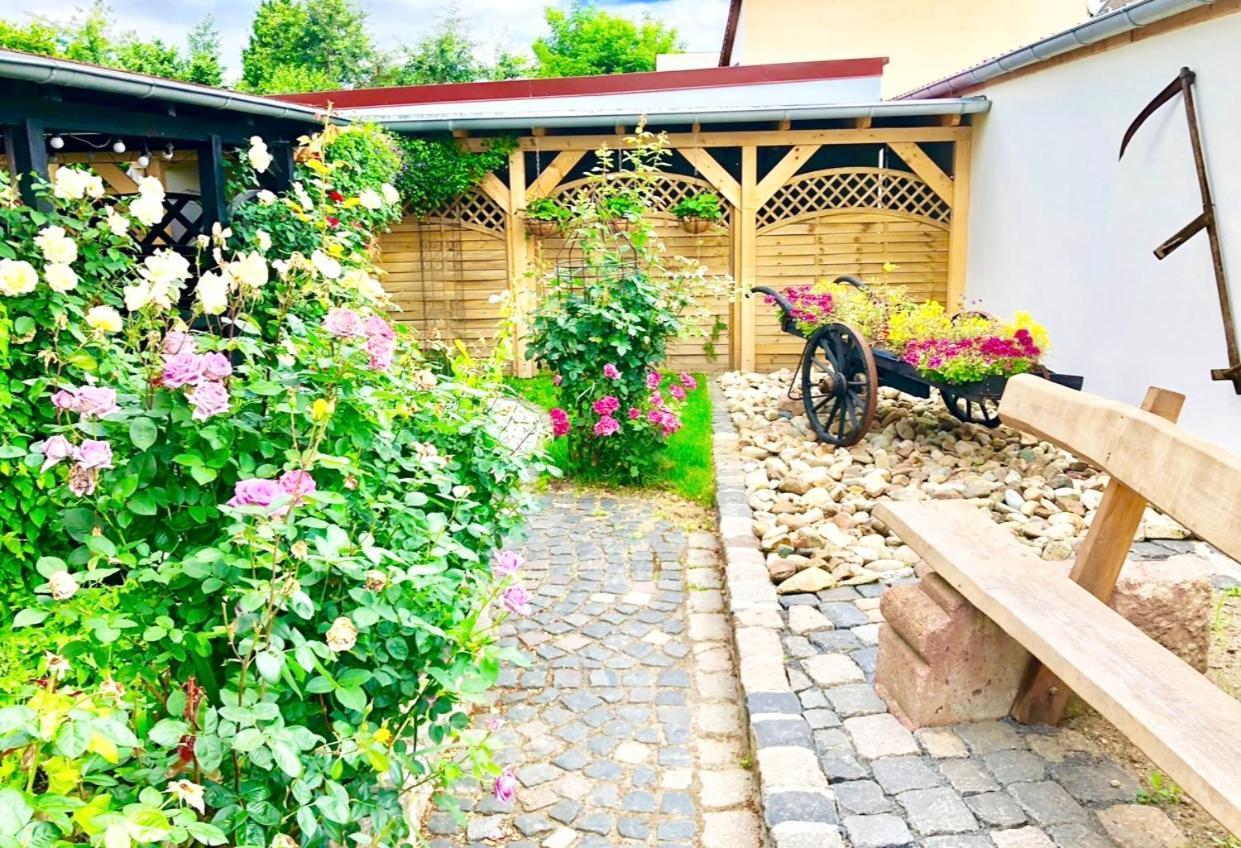 Ferienwohnungen Grimma 4 Zewnętrze zdjęcie